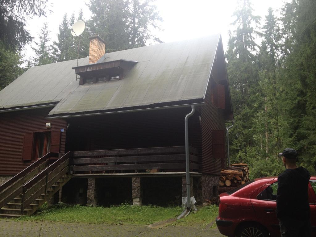 Pleso *