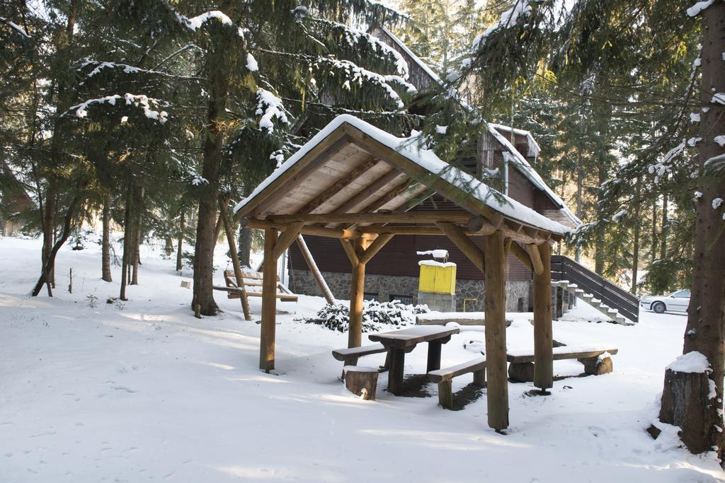Pleso Tatranska Strba
